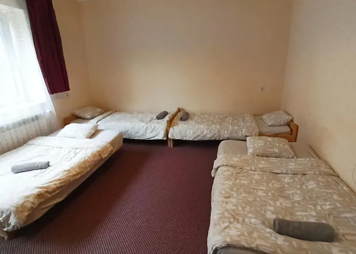 Komfort Borek Kraków